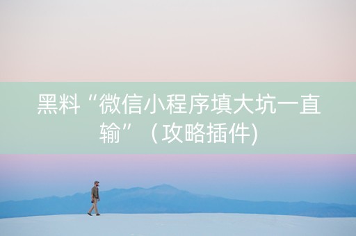 黑料“微信小程序填大坑一直输”（攻略插件)