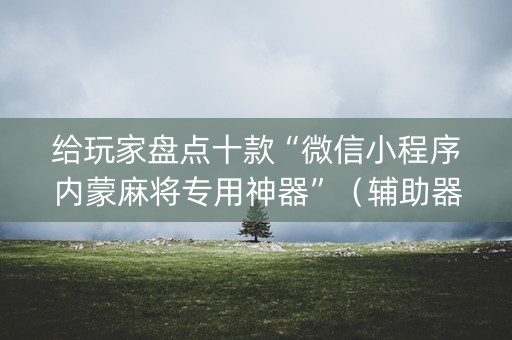 给玩家盘点十款“微信小程序内蒙麻将专用神器”（辅助器下载)