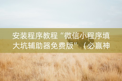 安装程序教程“微信小程序填大坑辅助器免费版”（必赢神器)