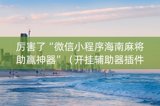 厉害了“微信小程序海南麻将助赢神器”（开挂辅助器插件)