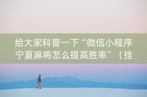 给大家科普一下“微信小程序宁夏麻将怎么提高胜率”（挂件神器)