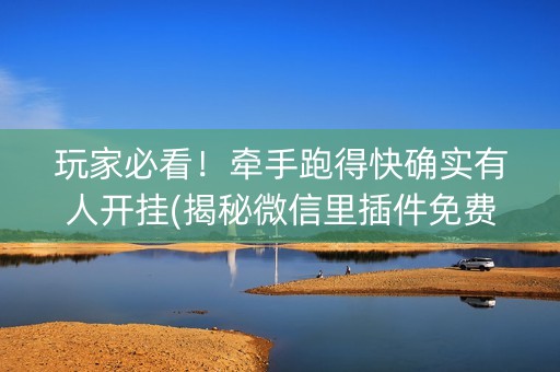 玩家必看！牵手跑得快确实有人开挂(揭秘微信里插件免费)