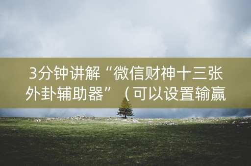 3分钟讲解“微信财神十三张外卦辅助器”（可以设置输赢吗)