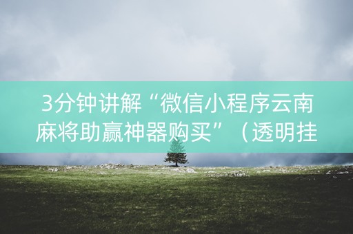 3分钟讲解“微信小程序云南麻将助赢神器购买”（透明挂辅助器)