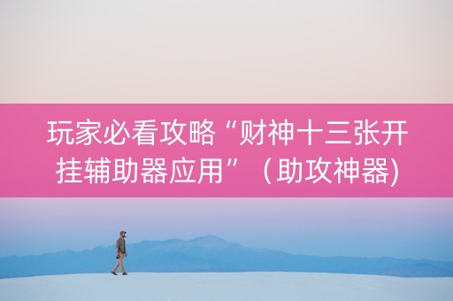 玩家必看攻略“财神十三张开挂辅助器应用”（助攻神器)