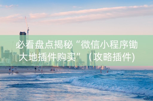 必看盘点揭秘“微信小程序锄大地插件购买”（攻略插件)