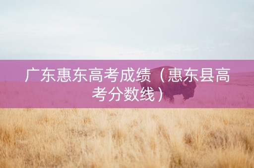 广东惠东高考成绩（惠东县高考分数线）