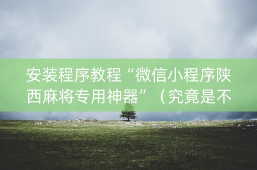 安装程序教程“微信小程序陕西麻将专用神器”（究竟是不是有挂)