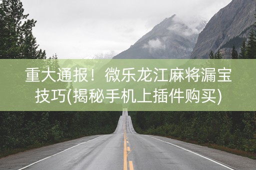 重大通报！微乐龙江麻将漏宝技巧(揭秘手机上插件购买)