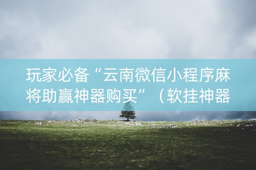 玩家必备“云南微信小程序麻将助赢神器购买”（软挂神器)
