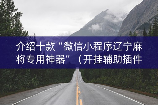 介绍十款“微信小程序辽宁麻将专用神器”（开挂辅助插件)