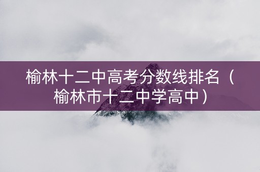 榆林十二中高考分数线排名（榆林市十二中学高中）