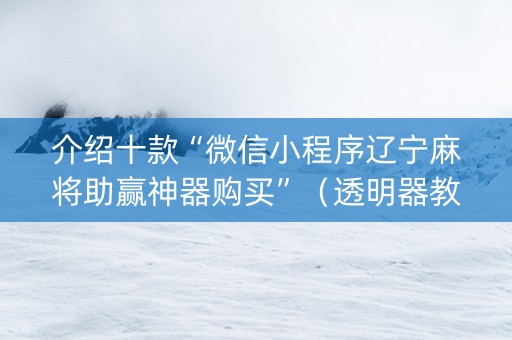 介绍十款“微信小程序辽宁麻将助赢神器购买”（透明器教程)