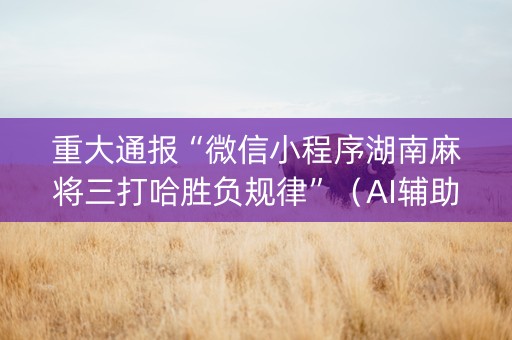 重大通报“微信小程序湖南麻将三打哈胜负规律”（AI辅助胡牌规则)