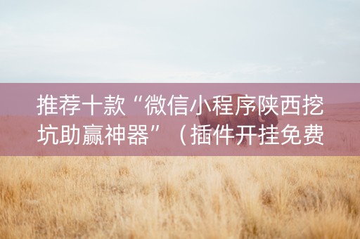 推荐十款“微信小程序陕西挖坑助赢神器”（插件开挂免费AI)
