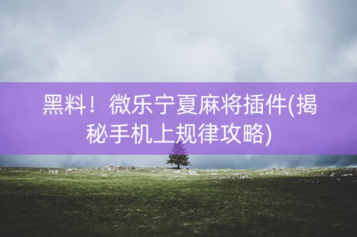 黑料！微乐宁夏麻将插件(揭秘手机上规律攻略)