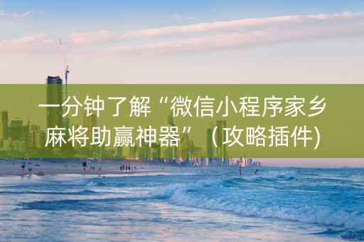 一分钟了解“微信小程序家乡麻将助赢神器”（攻略插件)