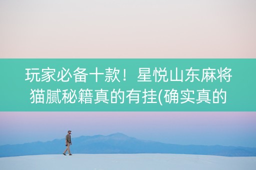 玩家必备十款！星悦山东麻将猫腻秘籍真的有挂(确实真的有挂)