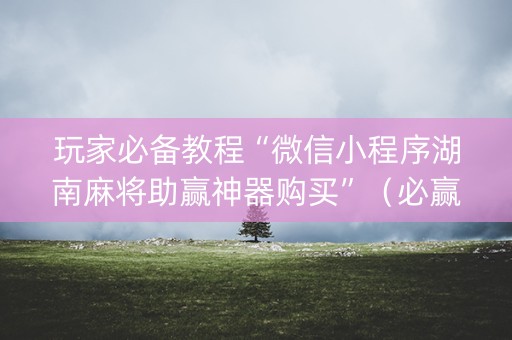 玩家必备教程“微信小程序湖南麻将助赢神器购买”（必赢神器免费安装)