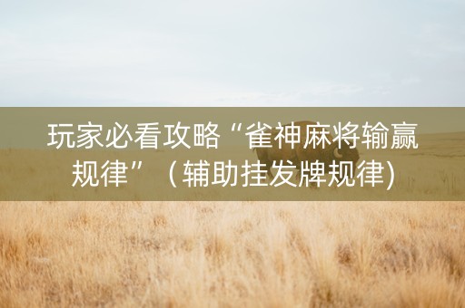 玩家必看攻略“雀神麻将输赢规律”（辅助挂发牌规律)