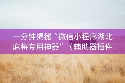 一分钟揭秘“微信小程序湖北麻将专用神器”（辅助器插件)