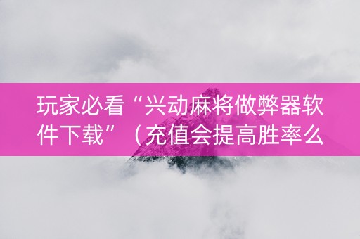 玩家必看“兴动麻将做弊器软件下载”（充值会提高胜率么)