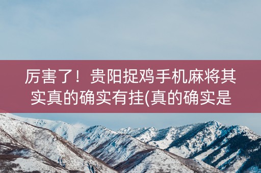 厉害了！贵阳捉鸡手机麻将其实真的确实有挂(真的确实是有挂)