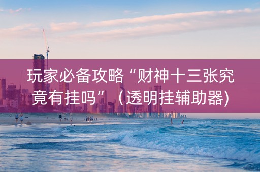 玩家必备攻略“财神十三张究竟有挂吗”（透明挂辅助器)