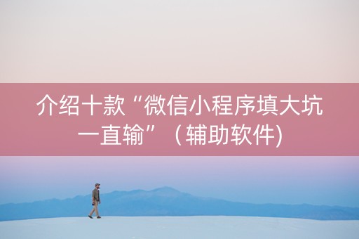 介绍十款“微信小程序填大坑一直输”（辅助软件)