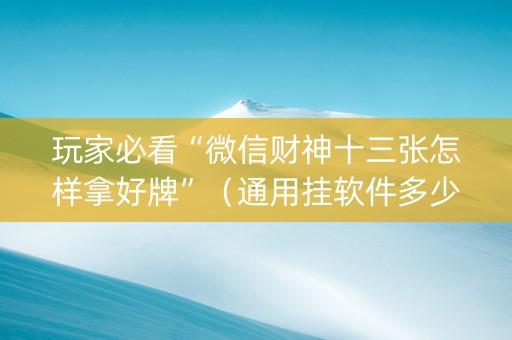 玩家必看“微信财神十三张怎样拿好牌”（通用挂软件多少钱)
