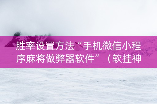 胜率设置方法“手机微信小程序麻将做弊器软件”（软挂神器)