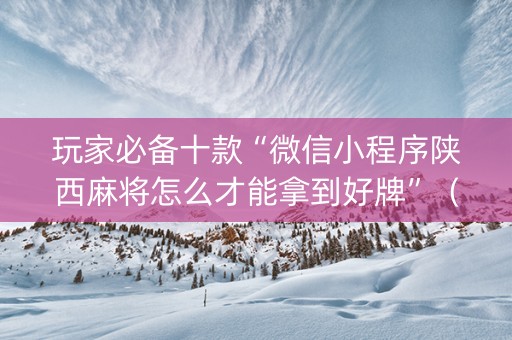 玩家必备十款“微信小程序陕西麻将怎么才能拿到好牌”（做弊器软件下载)