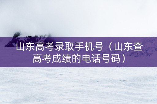山东高考录取手机号（山东查高考成绩的电话号码）