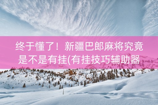 终于懂了！新疆巴郎麻将究竟是不是有挂(有挂技巧辅助器)