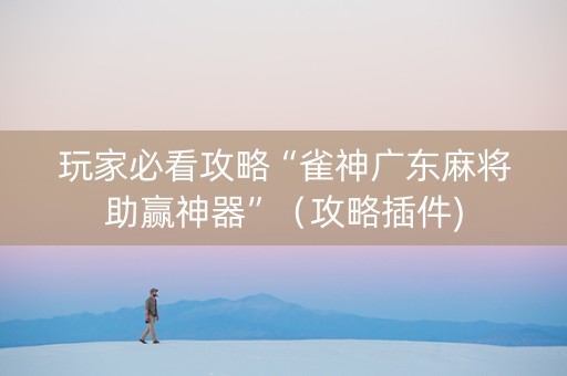 玩家必看攻略“雀神广东麻将助赢神器”（攻略插件)