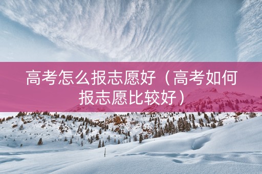 高考怎么报志愿好（高考如何报志愿比较好）