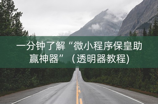 一分钟了解“微小程序保皇助赢神器”（透明器教程)