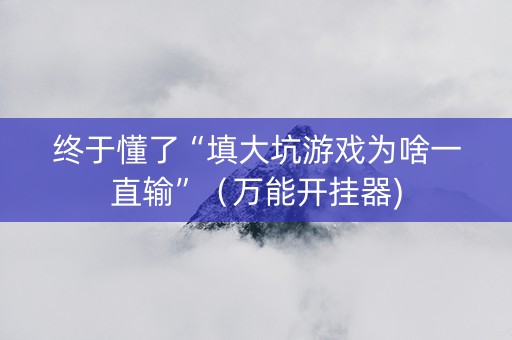 终于懂了“填大坑游戏为啥一直输”（万能开挂器)
