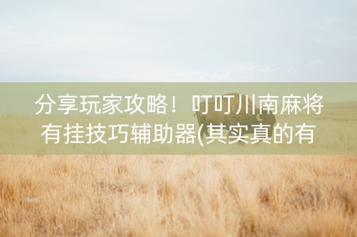 分享玩家攻略！叮叮川南麻将有挂技巧辅助器(其实真的有挂)