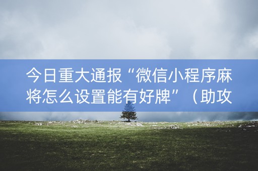 今日重大通报“微信小程序麻将怎么设置能有好牌”（助攻神器)