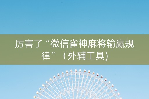 厉害了“微信雀神麻将输赢规律”（外辅工具)