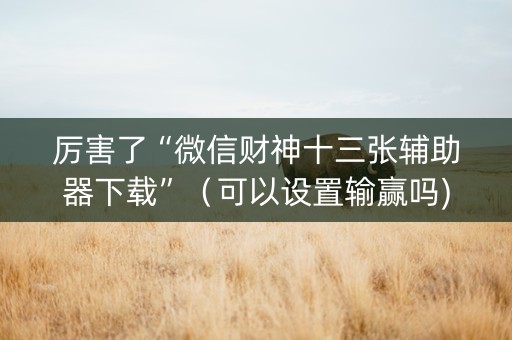 厉害了“微信财神十三张辅助器下载”（可以设置输赢吗)