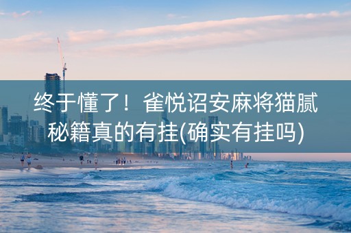 终于懂了！雀悦诏安麻将猫腻秘籍真的有挂(确实有挂吗)