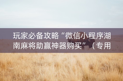 玩家必备攻略“微信小程序湖南麻将助赢神器购买”（专用神器下载)