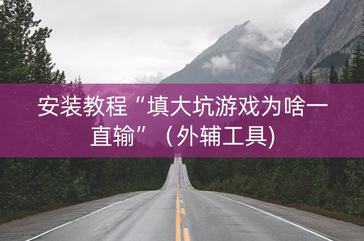 安装教程“填大坑游戏为啥一直输”（外辅工具)