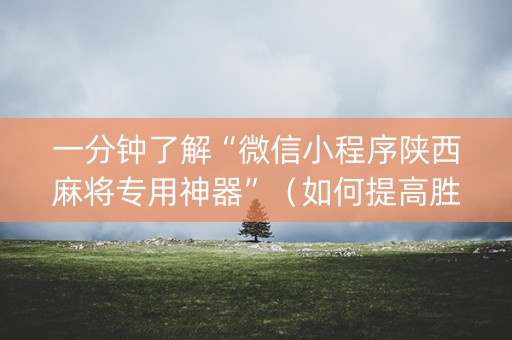 一分钟了解“微信小程序陕西麻将专用神器”（如何提高胜率)