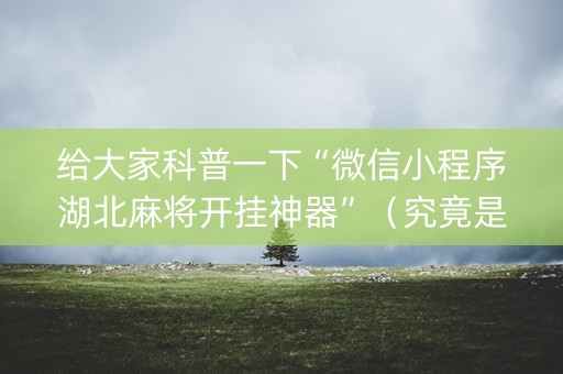 给大家科普一下“微信小程序湖北麻将开挂神器”（究竟是不是有挂)