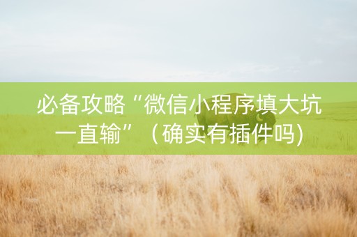 必备攻略“微信小程序填大坑一直输”（确实有插件吗)