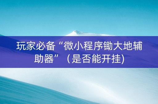 玩家必备“微小程序锄大地辅助器”（是否能开挂)