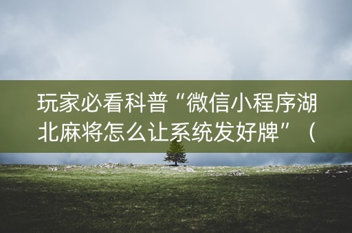玩家必看科普“微信小程序湖北麻将怎么让系统发好牌”（辅助器插件)